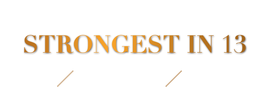 城市 x 森境 x 日常 打造生活之美 STRONGEST IN 13 早鳥先享 13期新奢特區 正2-3房 . 23-33坪